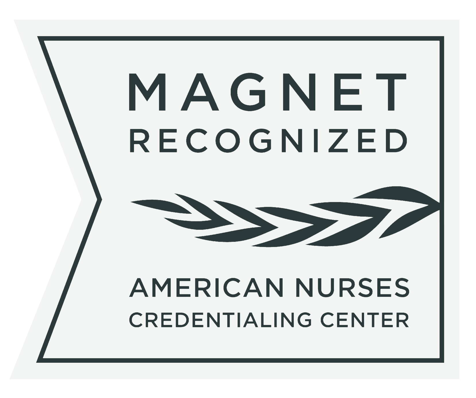 Magnet Recognized